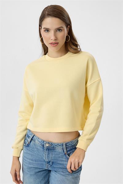 Basic Crop Sweatshirt