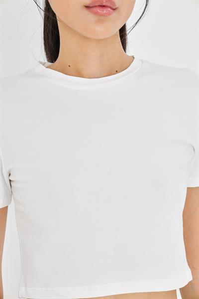 Basic Crop T-Shirt