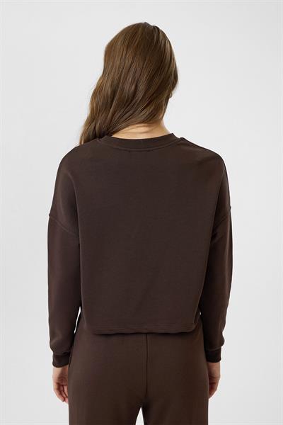 Basic Crop Sweatshirt