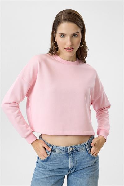 Basic Crop Sweatshirt