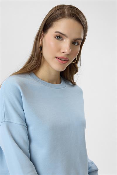 Basic Crop Sweatshirt