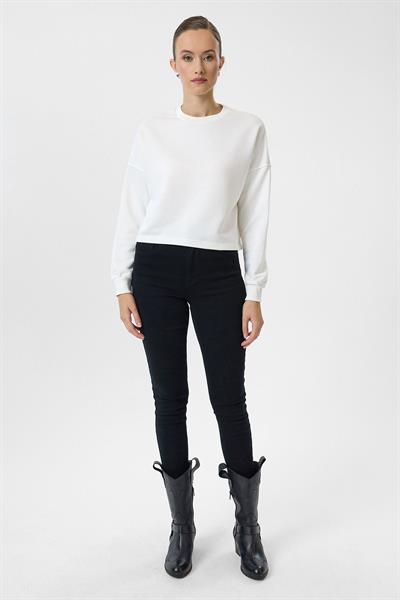 Basic Crop Sweatshirt