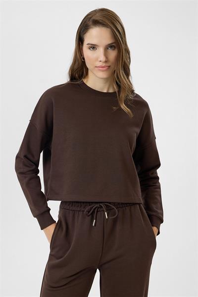 Basic Crop Sweatshirt