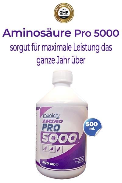 Aminosäure Pro5000 500 ml 