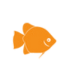 Akvaryumlar