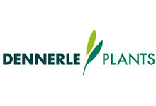 Dennerle Plants