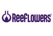Reeflowers