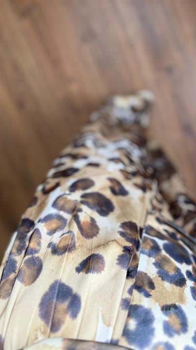 Leopar Desenli Tasarım Takım