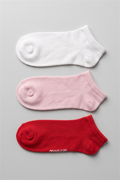 Blush 3lü Tencel Kadın Patik Çorap