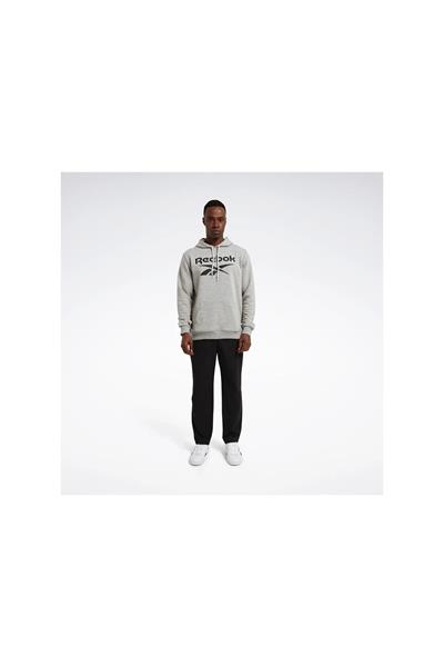 REEBOK RI FT BIG LOGO OTH HOOD Giyim Erkek