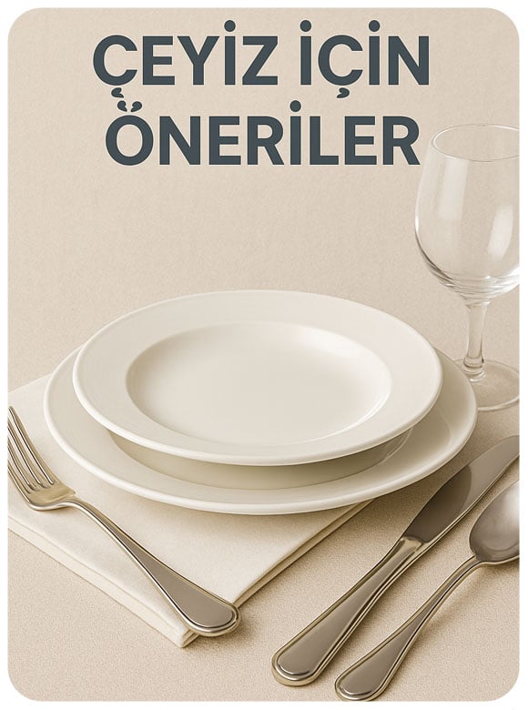 Öneriler