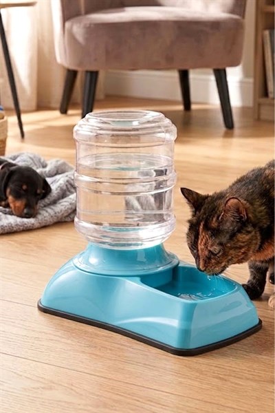 Damacanalı Kedi ve Köpek Su Sebili (Elektriksiz Otomatik Hazneli) 3.5 Litre