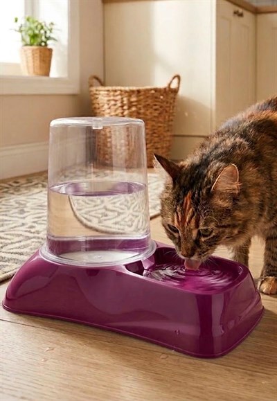 Hazneli Kedi Köpek Su ve Mama Kabı 3 LT