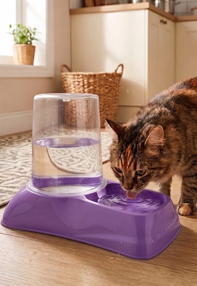 Hazneli Kedi Köpek Su ve Mama Kabı 3 LT