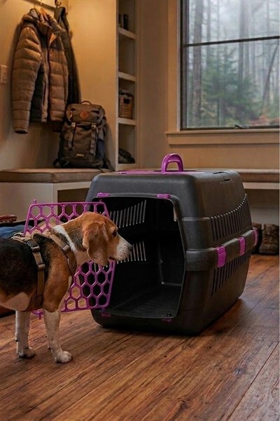 Kedi Köpek (Evcil Hayvan) Taşıma Çantası Büyük Boy XL
