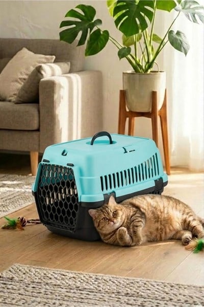 Kedi Köpek (Evcil Hayvan) Taşıma Çantası Orta Boy (Renkli)