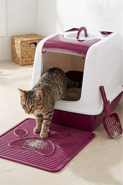Kedi Tuvalet Seti (Kapalı Kedi Tuvaleti+Paspas+Kürek) XL Boy