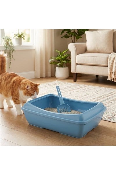 Yüksek Kenarlı Açık Kedi Tuvaleti (Kürek Hediyeli)