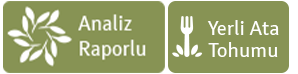 analiz-ata