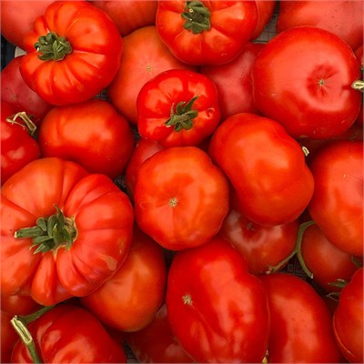 Kırmızı ve Pembe Yayla Domatesi (1 Kg.)