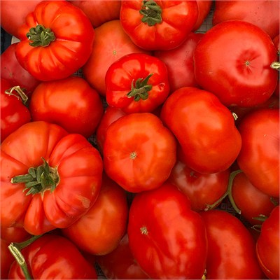 Kırmızı ve Pembe Yayla Domatesi (1 Kg.)