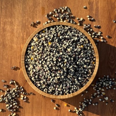 Patlatmalık Siyah Cin Mısır (250 Gr.)