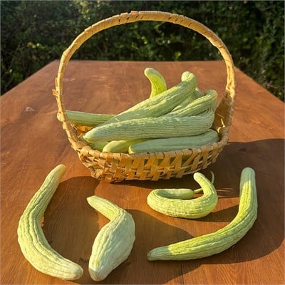 Uzun Ömer Yerli Acur ( 1 Kg.)