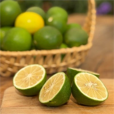 Mayer Limon (5 Kg.)