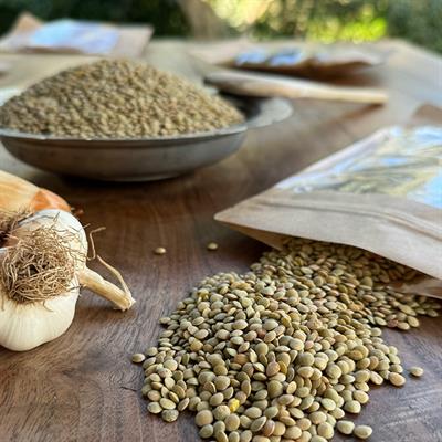 Yeşil Kır Mercimeği 500 Gr. (Ata TohumuK