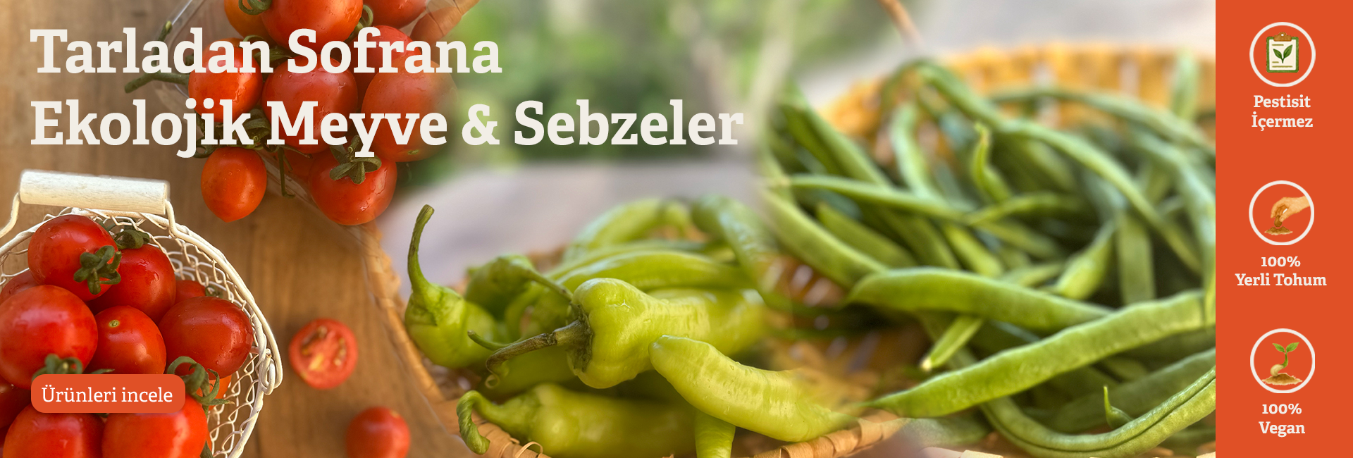 Zeytin ve Zeytinyağı