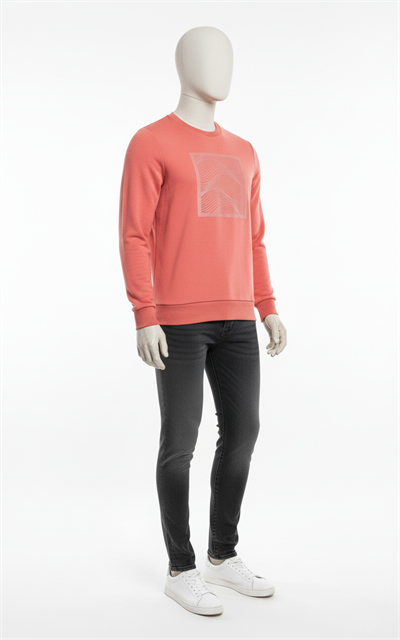 Erkek Regular Fit 3 İplik Enjeksiyon Baskı Bisiklet Yaka Sweatshirt