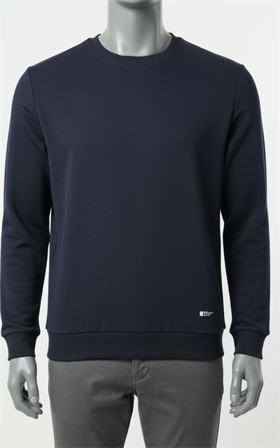 Erkek Regular Fit Bisiklet Yaka Sweatshirt