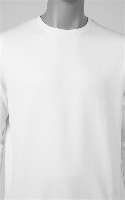 Erkek Regular Fit Bisiklet Yaka Sweatshirt