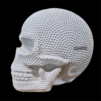 OB 1492 - Dev Zımbalı Kurukafa Ham Polyester Obje