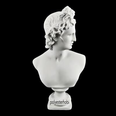 OB 1809 - David Büst Ham Polyester Obje