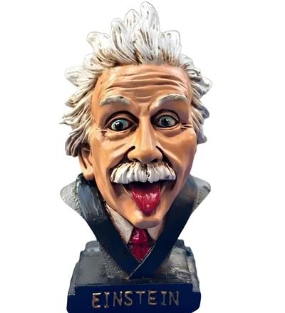 OB 2034 - Albert Einstein Ham Polyester Obje 2