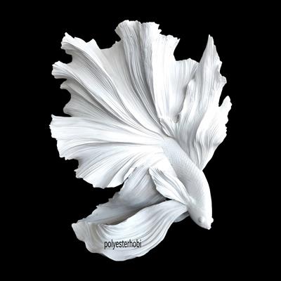 Ob 2502 -  Balık Dev Büst Heykel  Ham Polyester Ev ,Ofis Dekor