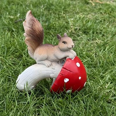 Ob 2589 - Mantar Üzerinde Sincap Biblo Ham Polyester Ev Dekor Obje