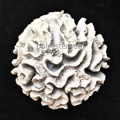 OB 874 - Dev Top Mercan Ham Polyester Obje