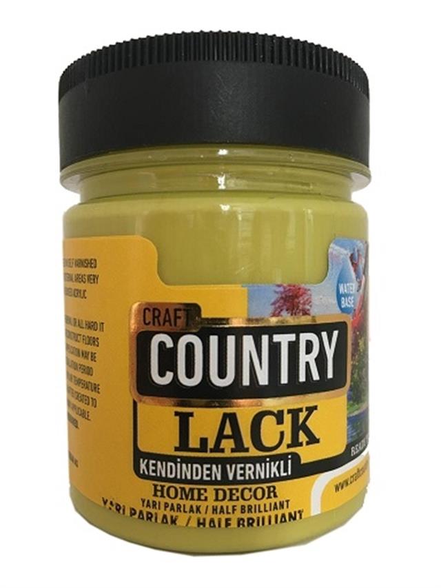 kendinden-vernikli-lack-hobi-boyasi-40-576437.jpg