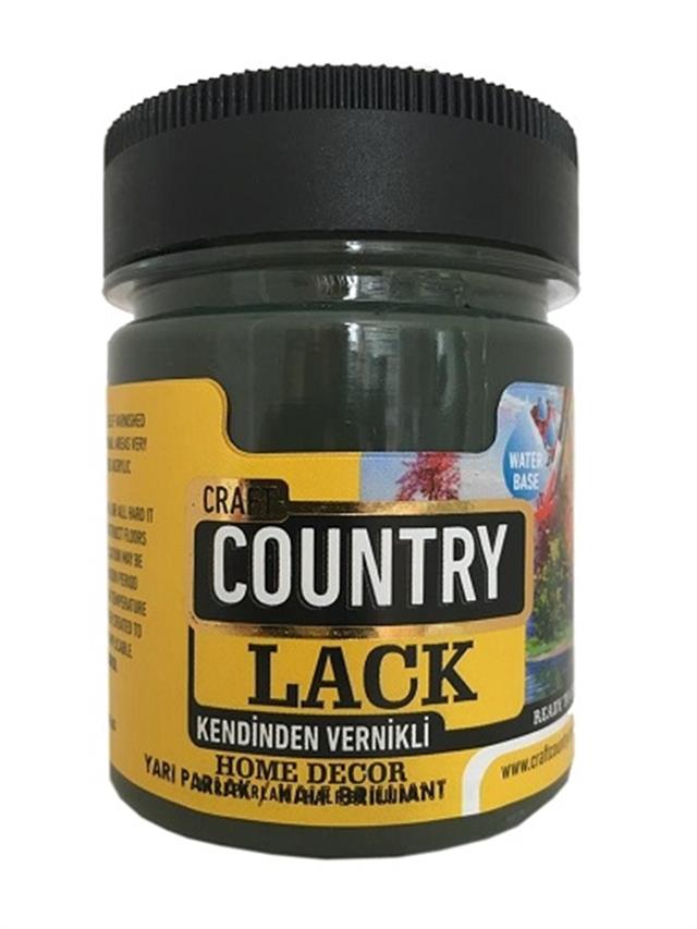 kendinden-vernikli-lack-hobi-boyasi-40-ba8064.jpg