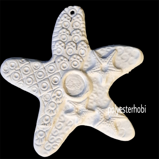 ob-1639-deniz-yildizi-buyuk-boy-asilab-bfe8-3.png