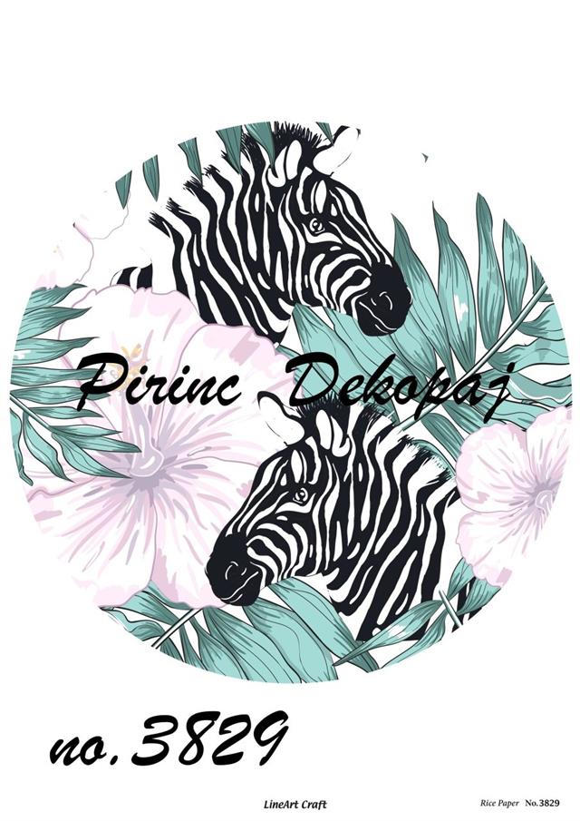pd-3829-pirinc-dekopaj-4c10-8.jpg