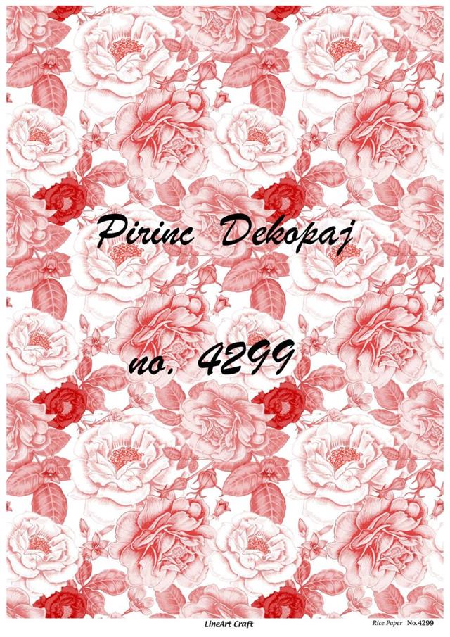 pd-4299-pirinc-dekopaj-a600-b.jpg