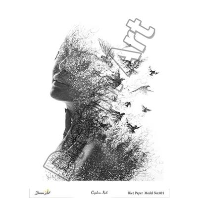 891-dream-art-pirinc-dekopaj-30x42-cm-910ff0.jpg