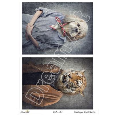 896-dream-art-pirinc-dekopaj-30x42-cm-94a50d.jpg