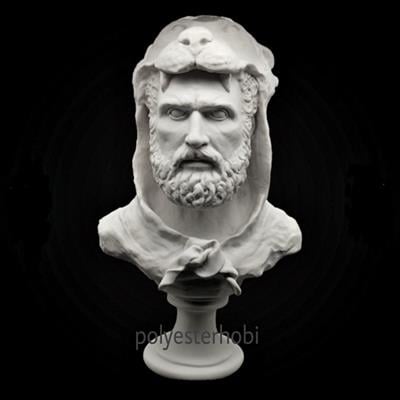 ob-1122-herkul-aslan-adam-ham-polyeste-f0380f.jpg