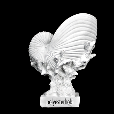 ob-1328-mercan-kaideli-salyangoz-deniz-571506.png