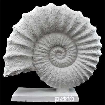 ob-1366-kaideli-deniz-kabugu-ham-polye-6bf0-4.png