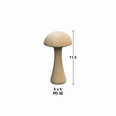 pd-32-mantar-11-a9e677.jpg